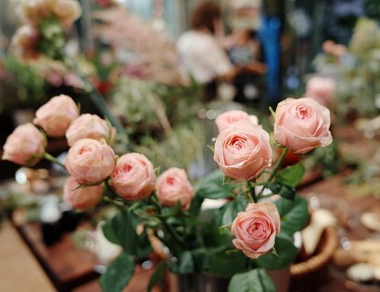 flower 4563208 640
