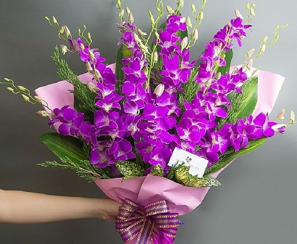 Tặng Hoa 8/3 Ý Nghĩa: Nghệ Thuật Thể Hiện Tình Cảm Qua Từng Bông Hoa 11 Hoa cẩm chướng tặng 8/3
