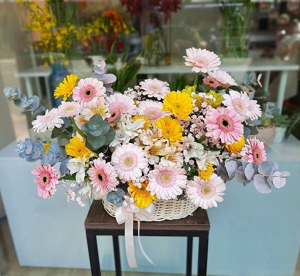 Hoa đồng tiền