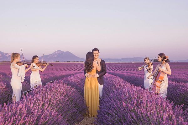 Sự Thật Thú vị về Ý Nghĩa Hoa Oải Hương (Lavender) 3