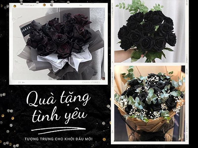 Ý nghĩa hoa hồng đen - loài hoa bí ẩn, hiếm có-4