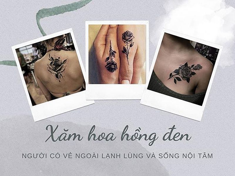 Ý nghĩa hoa hồng đen - loài hoa bí ẩn, hiếm có-5