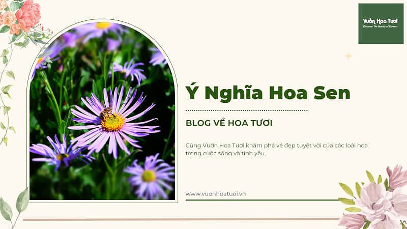 y nghia hoa thach thao bi mat cua loai hoa tim mong mo 109 1111