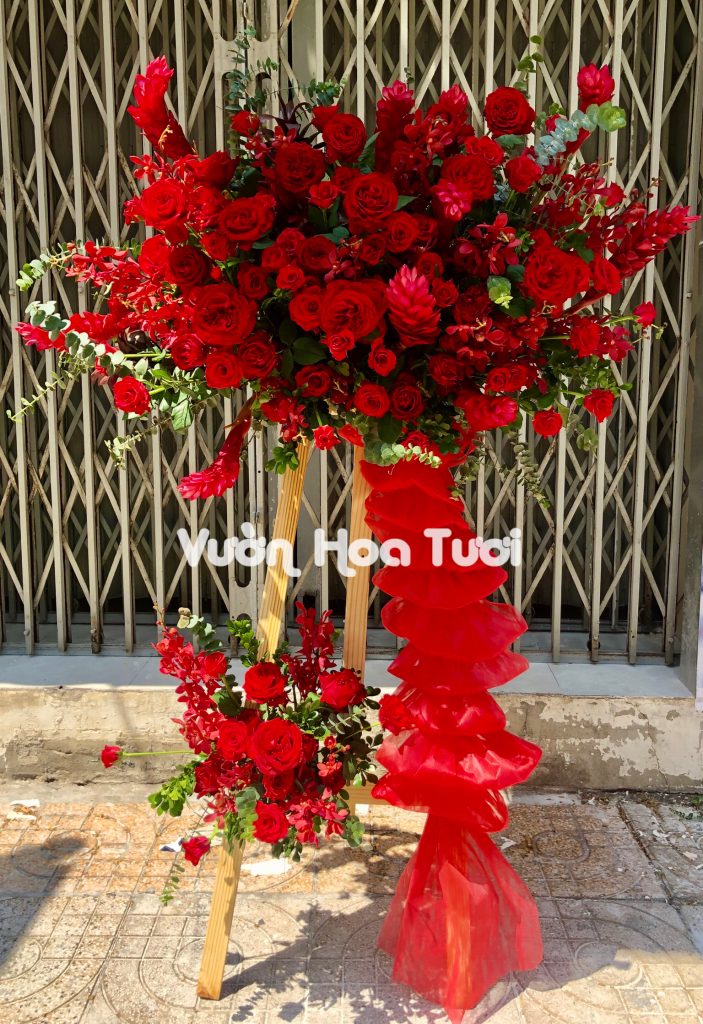 phonto 34 1